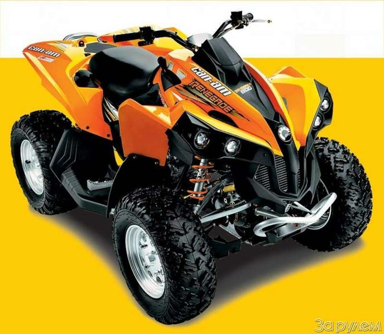 Громкое имя