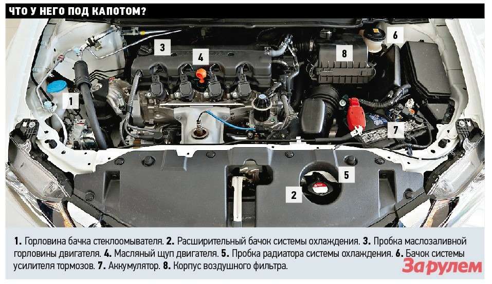 Где находится хонда. Схема расположения Бочков Хонда CRV 2008 под капотом. Цивик 4д под капотом бачок. Под капотом Honda CRV 3 бачок тормозной. Схема подкапотного пространства Хонда Цивик 8.