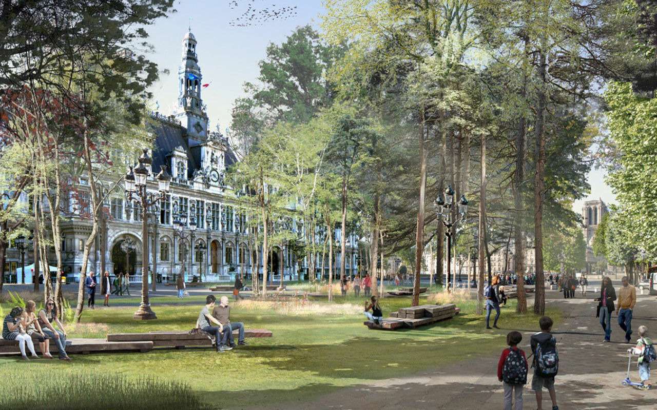 Парковки закрыть – посадить «родные леса»!