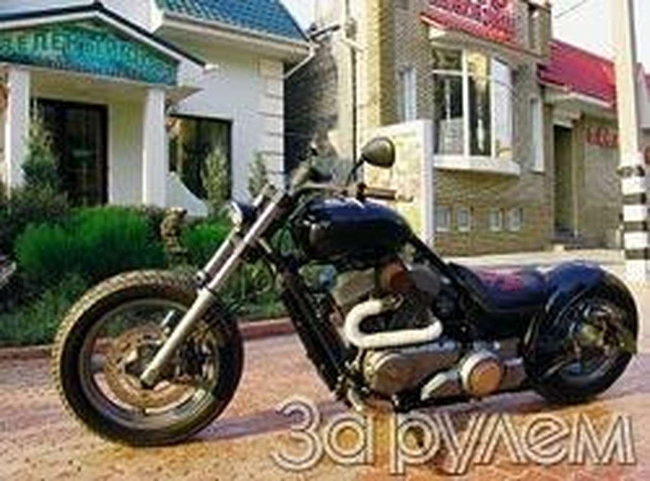 Чесалка полицейских спин