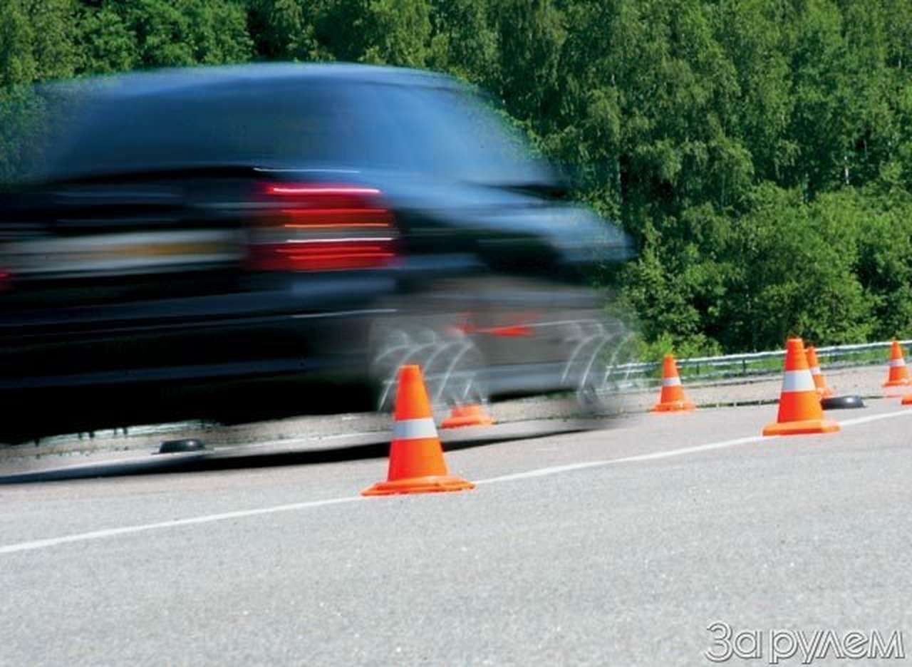 Устроим чемпионат