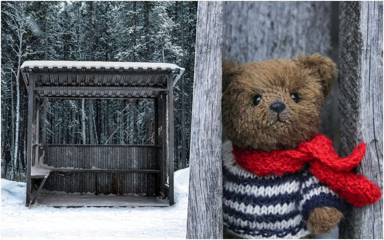 Медведица с медвежатами спряталась от пурги на остановке (видео)