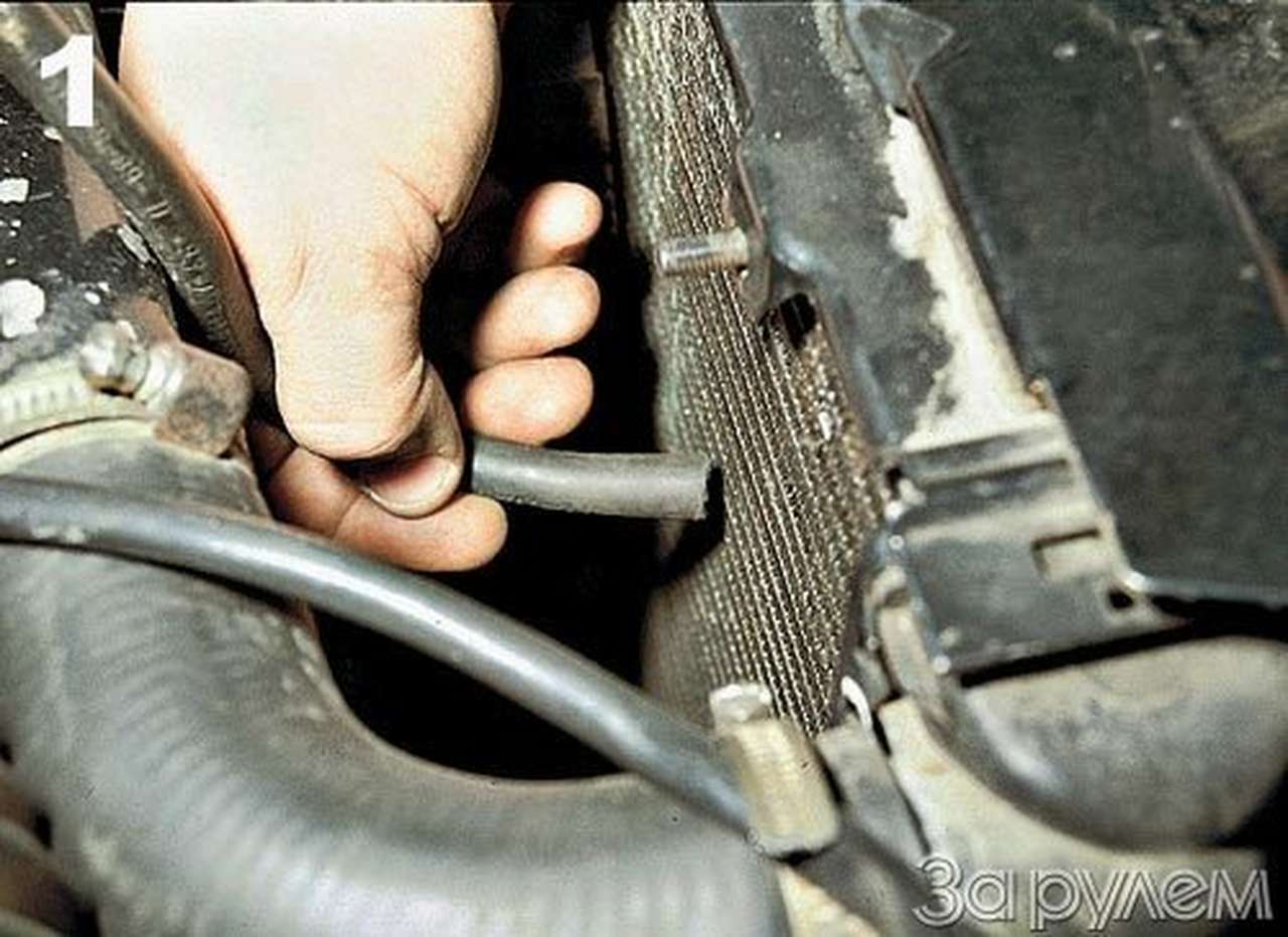 Не горячись!