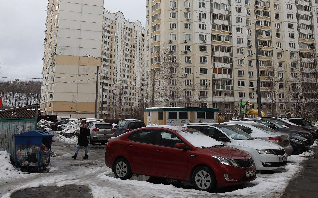 Крысы, коты, мусоровоз, соседи: чем рискует оставленное у мусорки авто