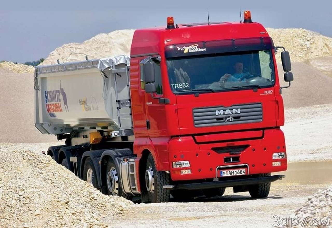 Львы живут прайдами