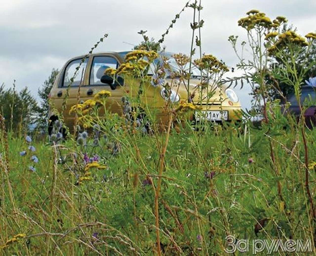 Полет шмеля и полгарантии