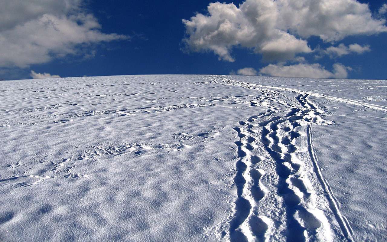 Можно ли выезжать из автосалона зимой на летних шинах?