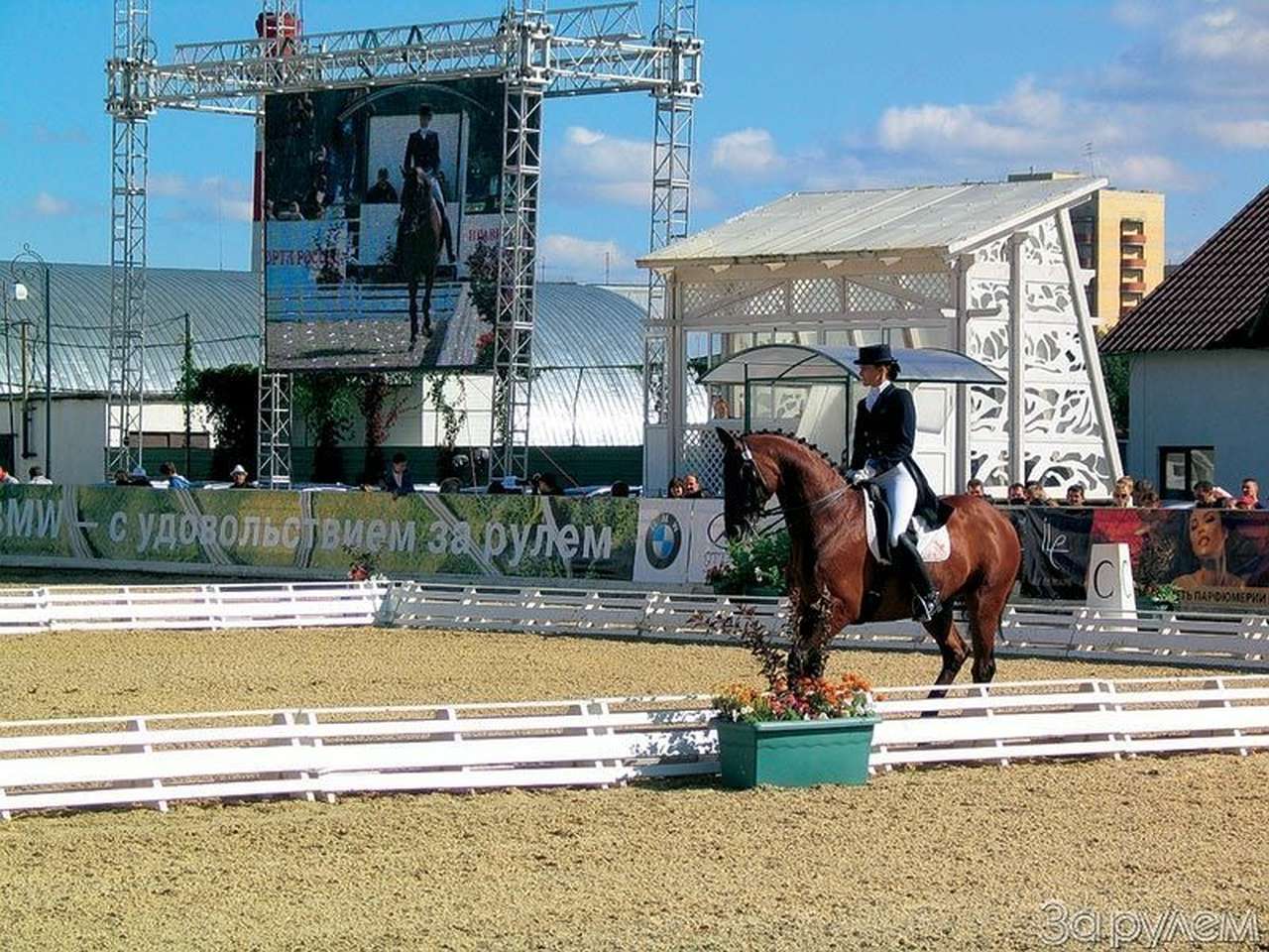 БМВ на выездке