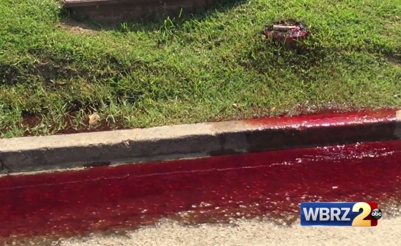 Фильм ужасов наяву - автодорогу залило кровью