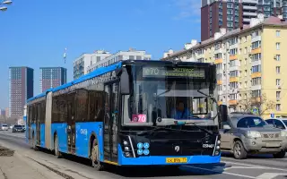 26 экспресс-маршрутов автобусов и электробусов работают в столице