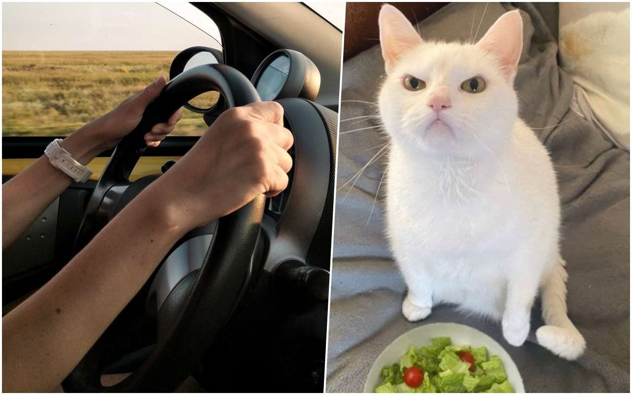 Печальный рейтинг: эти авто с пробегом вы точно не «прокормите»