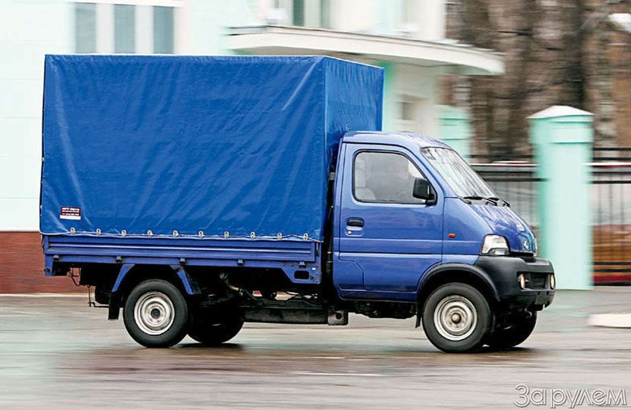 Городской муравей