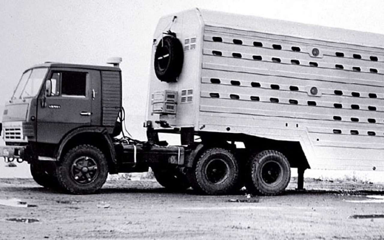 Полуприцеп‑скотовоз ОдАЗ‑9979