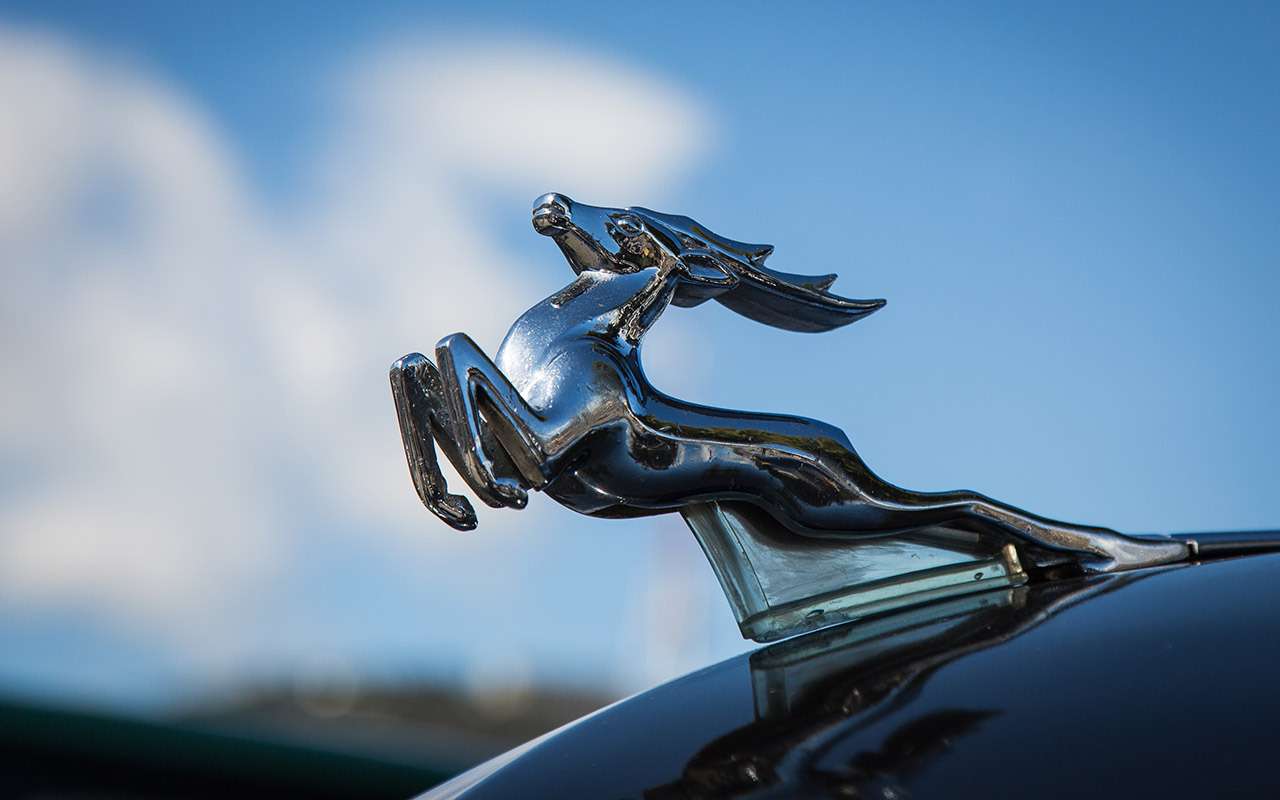 Танк во фраке: невероятные истории про Волгу с оленем