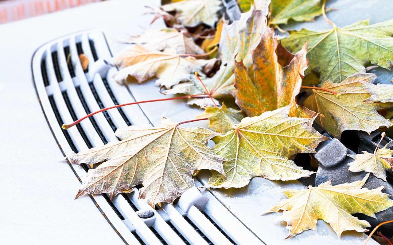 Осень и автомобиль: 5 полезных аксессуаров и волшебное средство
