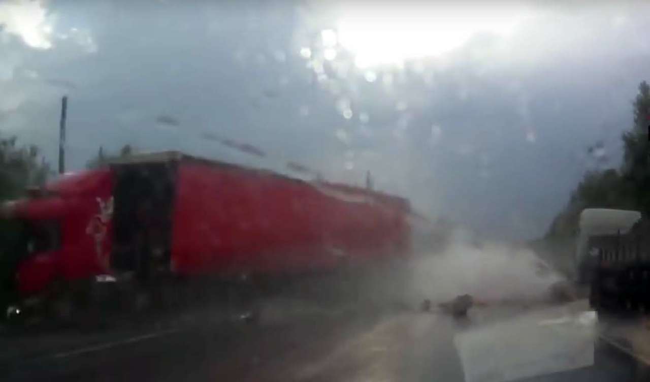 Асами в дождь не становятся