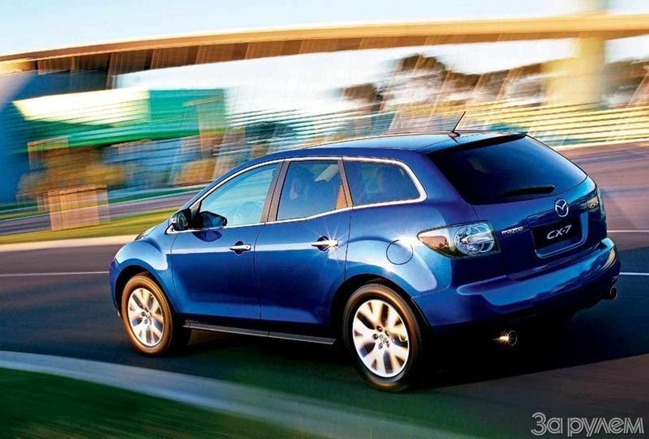 Выбор молодых