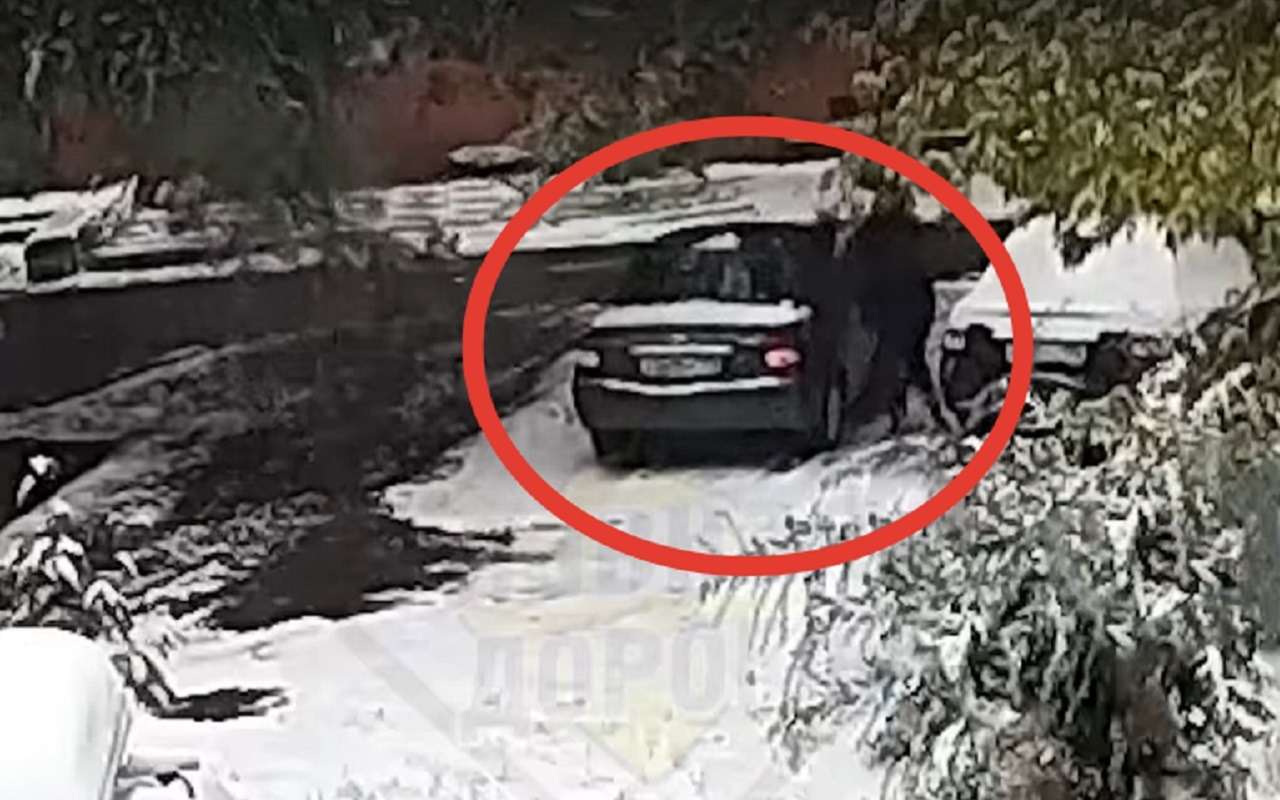 Зима подкралась незаметно: чистил машину — едва не пришибло веткой (видео)