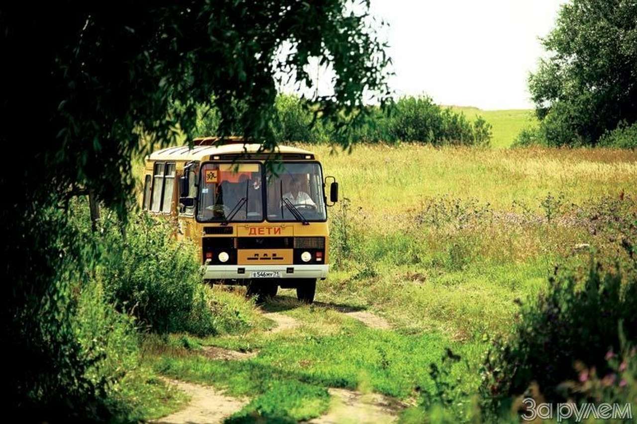 Желтая мечта детства