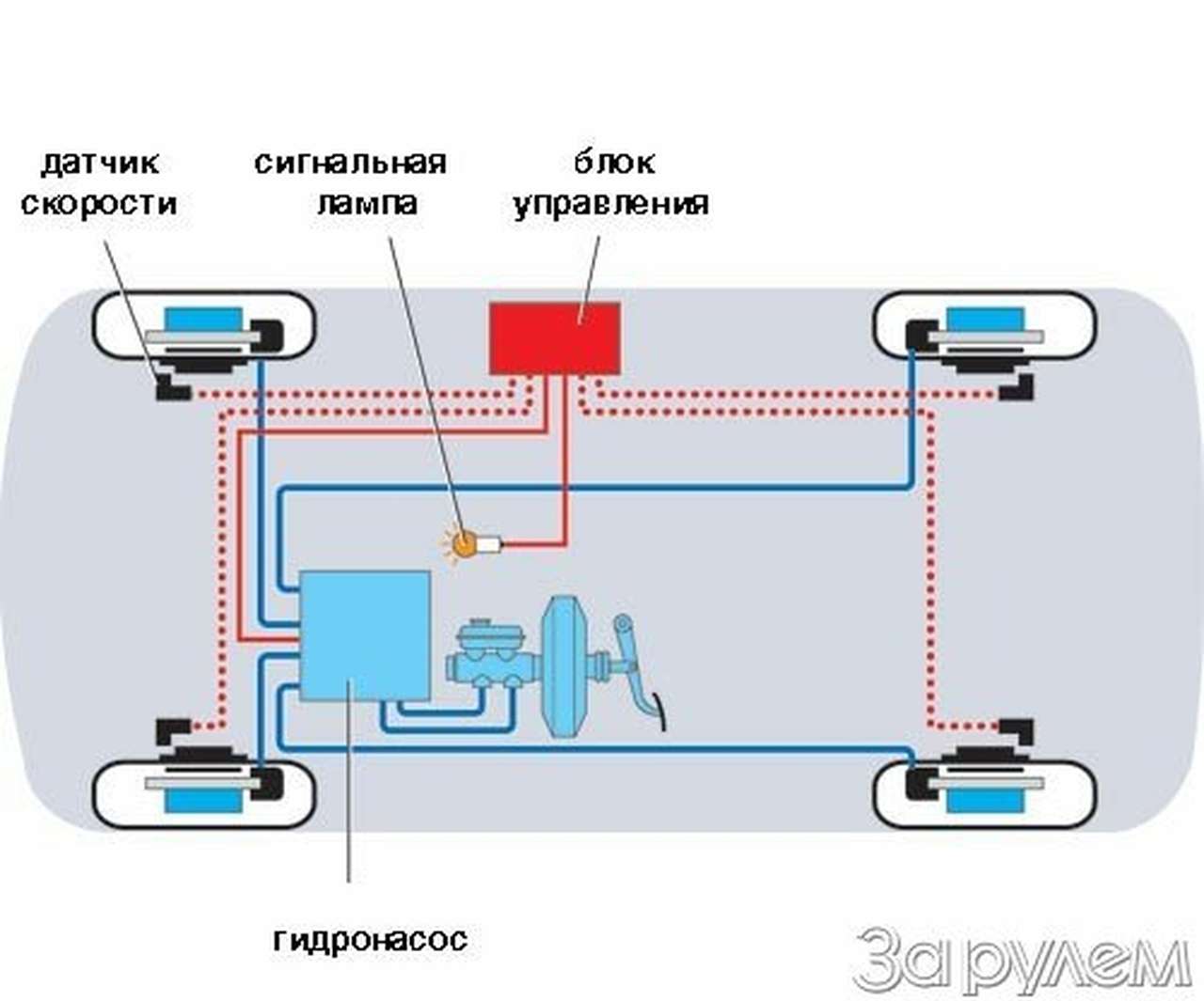 Задаем курс