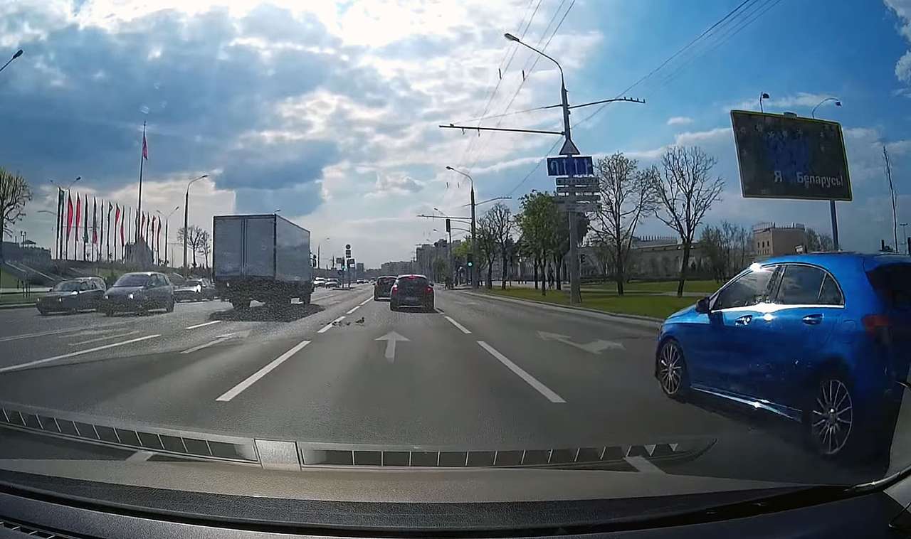 Грузовик и утки: встреча на дороге