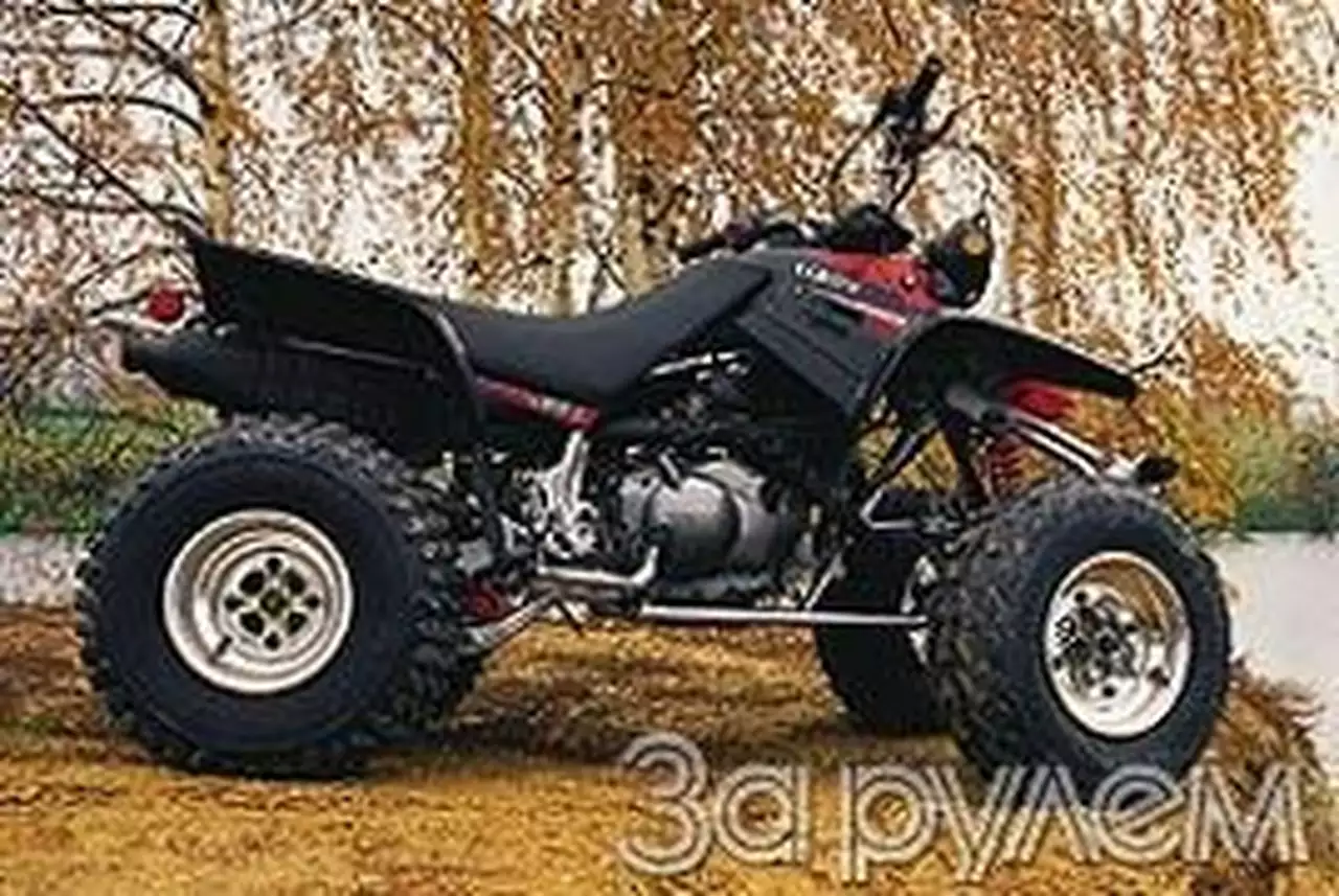 Мой партнер - боец