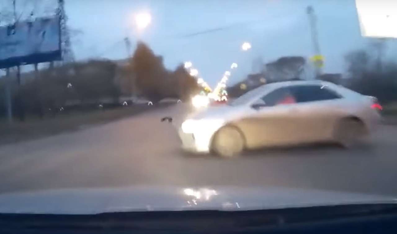 Водитель выехал на встречку, чтобы избежать ДТП. Прав ли он?