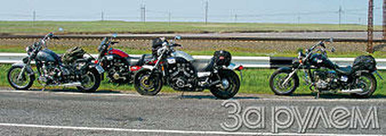 Из стаи острозубых