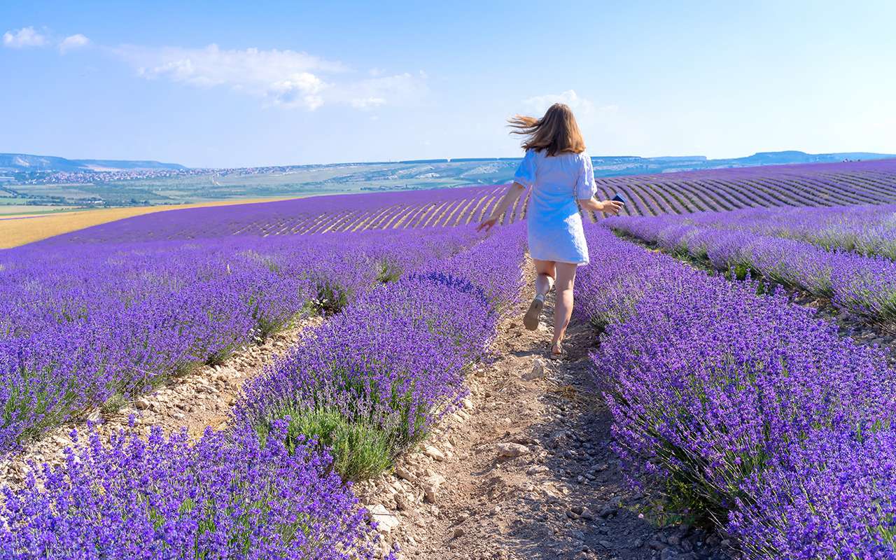 Названы самые желанные курорты России