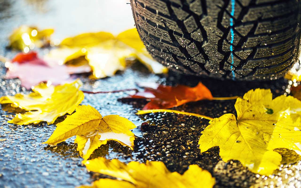 8 главных советов водителю на октябрь