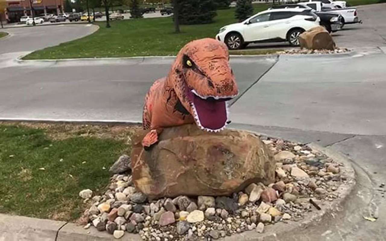 Камень преткновения: вот как воспитывают тех, кто срезает дорогу