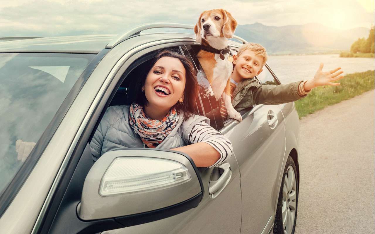 Мы везем с собой кота, сына и собаку! – и вот что стоит докупить