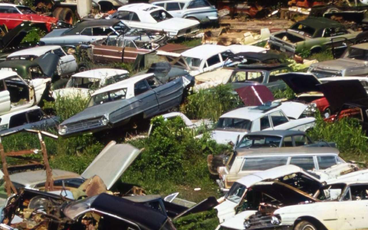 Удивитесь, узнав, сколько принесет в казну утильсбор на автомобили, ввезенные в 2024 году