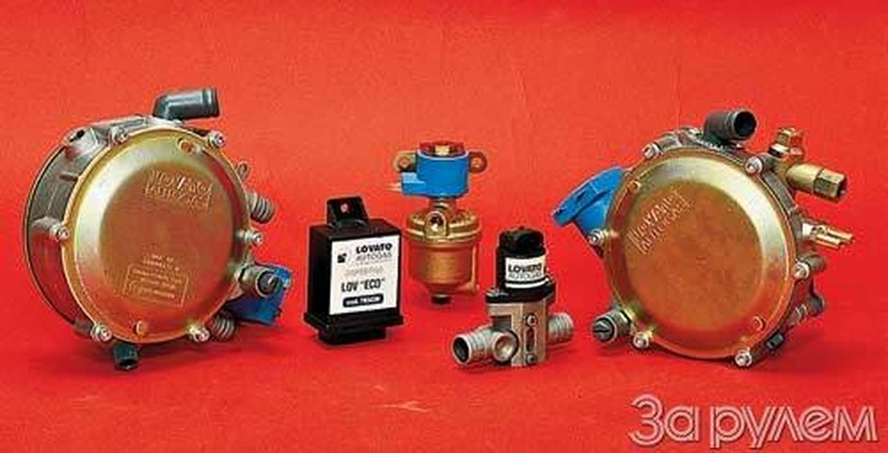 "нексия" всеядная