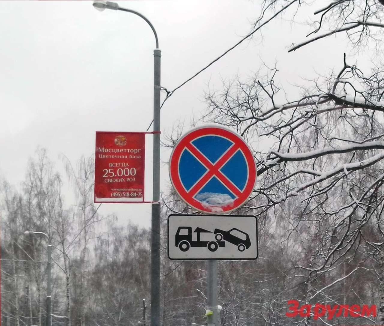 Власти Москвы не могут договориться насчет парковок