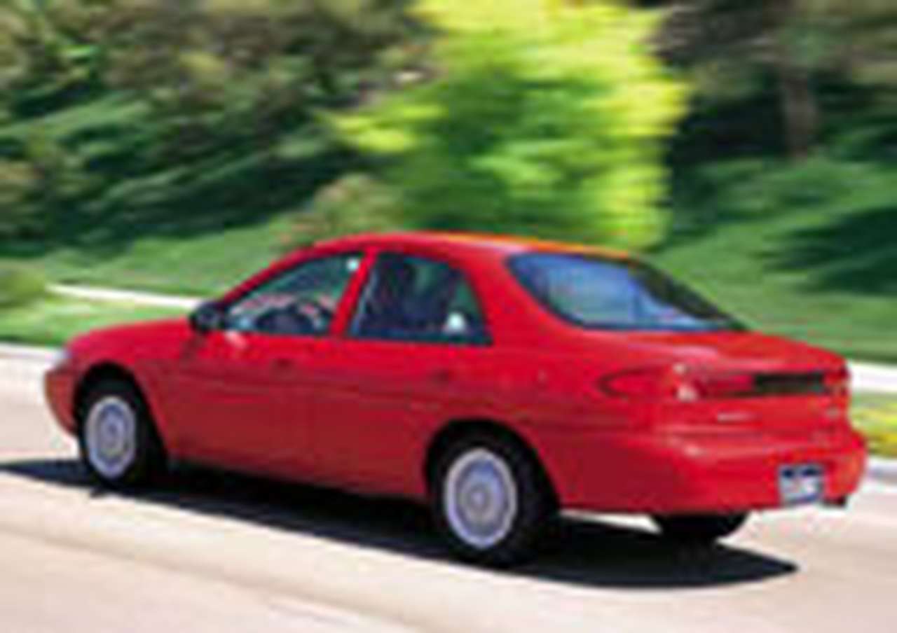 Ford Escort безопасен… для кошек