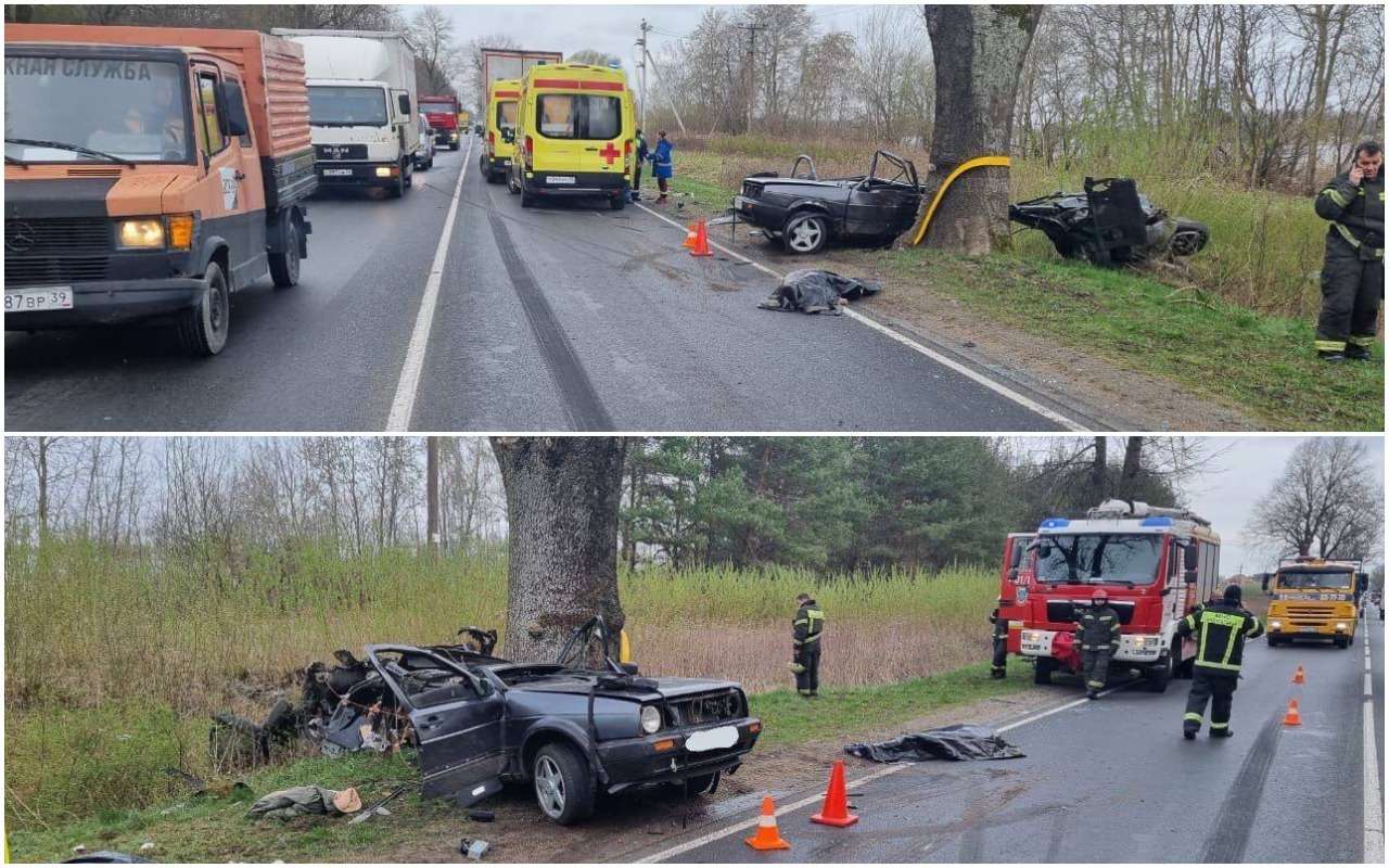 От удара машину отбросило в дерево и разорвало: жесткое ДТП под Калининградом