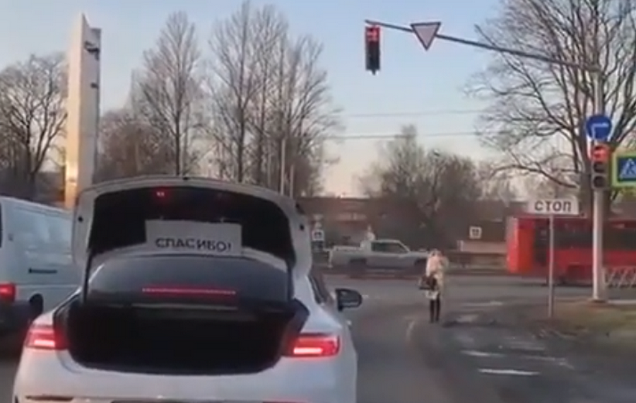 Фантазер: водитель научил свою машину говорить «спасибо»