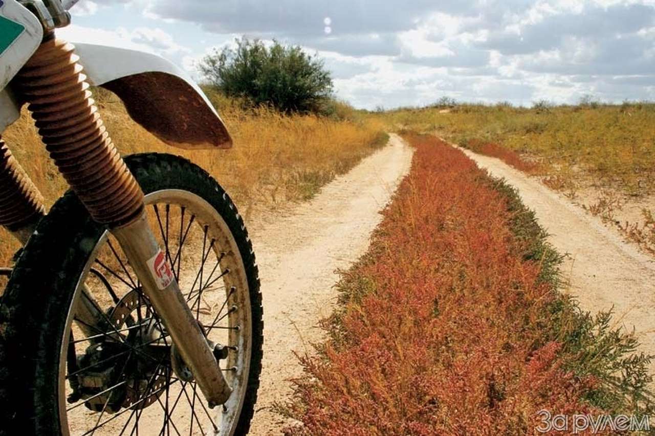 Караванный синдром