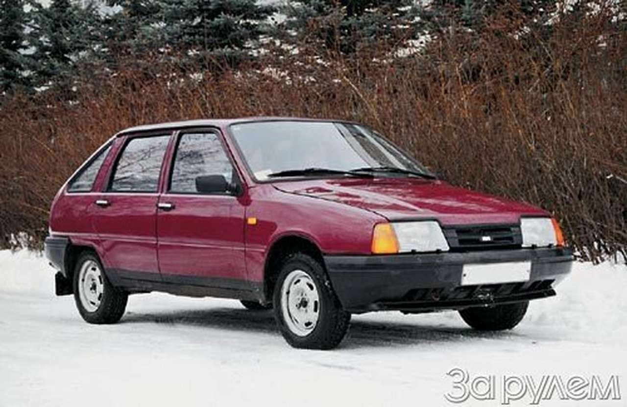 Ёжик-юбиляр