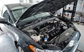 Как дефорсаж позволит вам не платить утильсбор