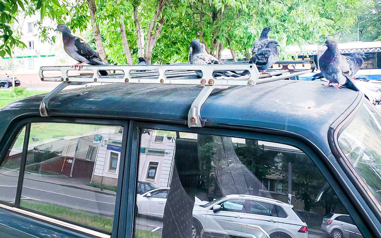 Дорожные приметы: вслух не говорят, но  верят