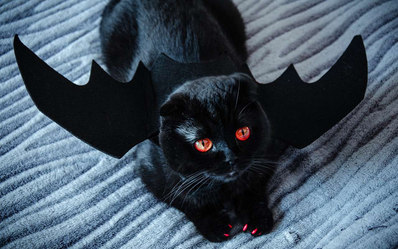 Бумажник к голове, мусор в окно – в эти приметы верят водители