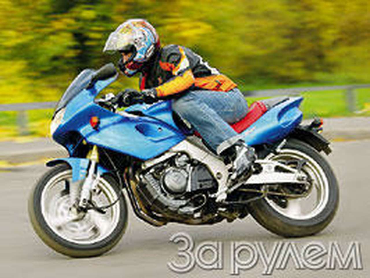 Шарм узкобедрых 