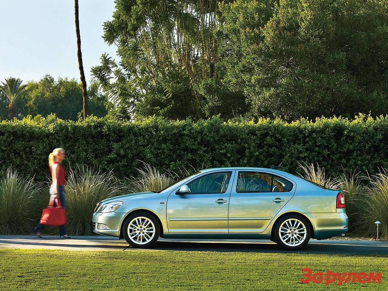 Какую выбрать Skoda Octavia?