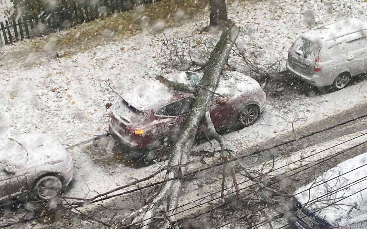 Погодный апокалипсис: Нижний Новгород борется с последствиями первого снегопада