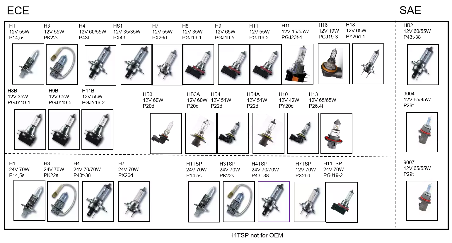 Виды автолампочек и типы цоколей