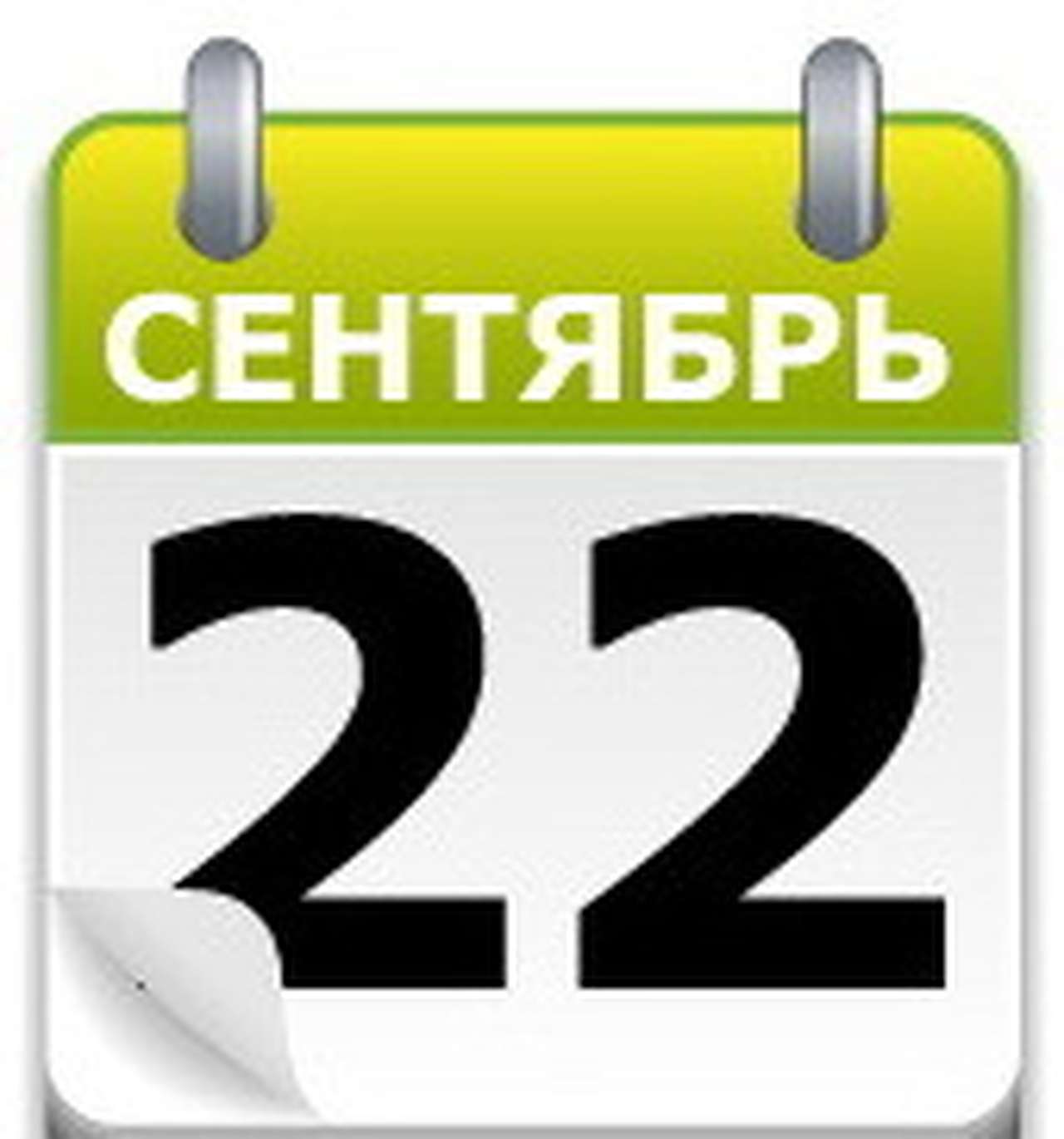 Две лошадки и гадкий утенок