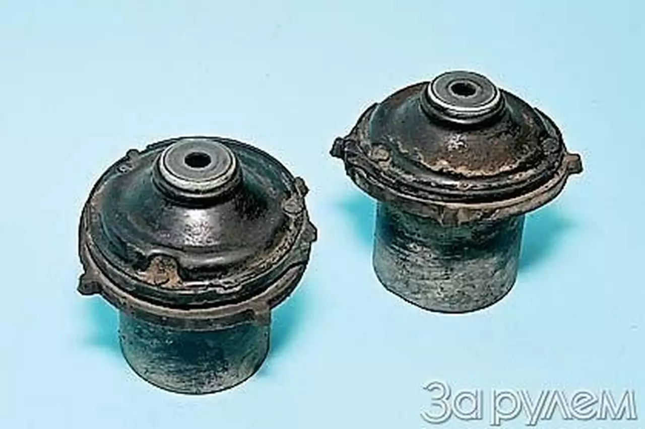 Вива «Астре»