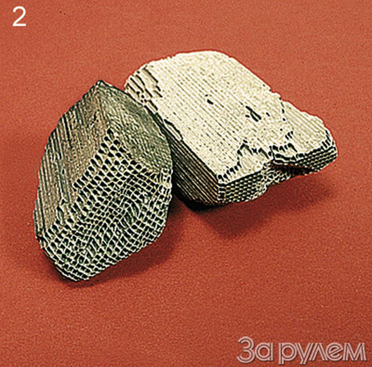 Не пей из болотца...